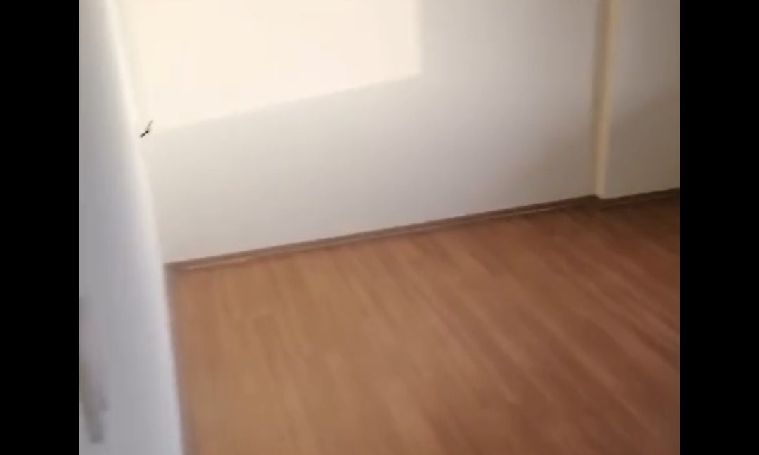 Screenshot_20240713_194558_Studio